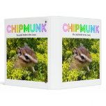 Chipmunk , Squirrel . (llustration , photo) binders