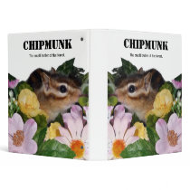 Chipmunk , Squirrel . (llustration , photo) Binders