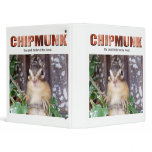 Chipmunk , Squirrel . (llustration , photo) binders