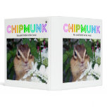 Chipmunk , Squirrel . (llustration , photo) binders