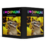 Chipmunk , Squirrel . (llustration , photo) binders