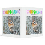 Chipmunk , Squirrel . (llustration , photo) binders