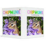 Chipmunk , Squirrel . (llustration , photo) binders