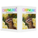 Chipmunk , Squirrel . (llustration , photo) binders