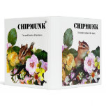 Chipmunk , Squirrel . (llustration , photo) binders