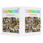 Chipmunk , Squirrel . (llustration , photo) binders