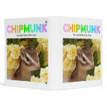Chipmunk , Squirrel . (llustration , photo) binders