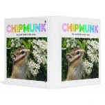 Chipmunk , Squirrel . (llustration , photo) binders