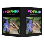 Chipmunk , Squirrel . (llustration , photo) binders
