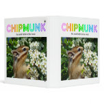 Chipmunk , Squirrel . (llustration , photo) binders