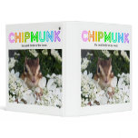 Chipmunk , Squirrel . (llustration , photo) binders