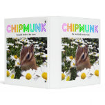 Chipmunk , Squirrel . (llustration , photo) binders