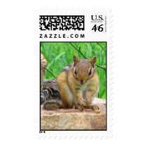 Chipmunk Stamp