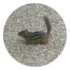 Chipmunk sticker