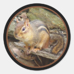 Chipmunk Sticker