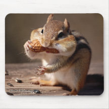 Chipmunk Stuffing His Face Mousepad