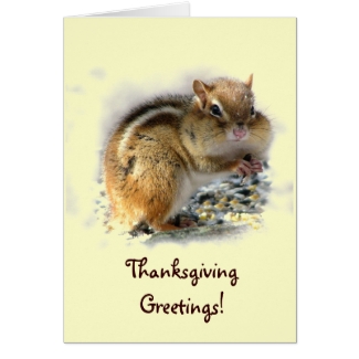 Chipmunk Thanksgiving