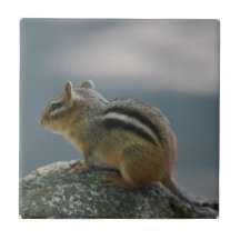 Chipmunk Tile