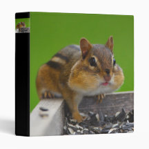 chipmunk vinyl binder