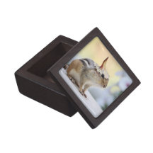 Chipmunk Wearing Flower Party Hat Premium Trinket Boxes