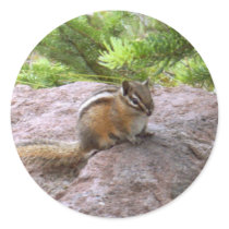 Chipmunk Wildlife Photo Art Design Nature Animals stickers