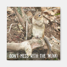chipmunk with attitude refrigerator magnet