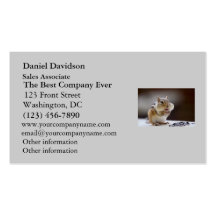 Chipmunk with Cheeks Full Photo Business Card