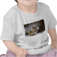 Chipmunk with Cheeks Full Photo Shirt