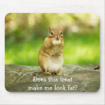 Chipmunk with treat mousepad