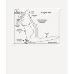 Chipmunks 101 tee shirts