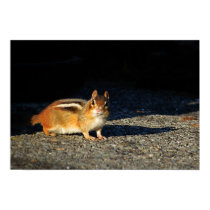 Chipmunks 2 Poster