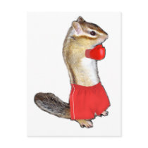 chipmunk's boxer post cards