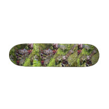 Chipmunks Girls' Skateboard