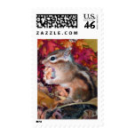 chipmunk's stamp