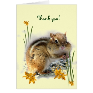 Chipmunk's Thank You