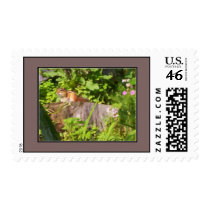 Chipper postage