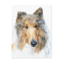 Chipper the Collie Postcard by mozache Chipper the Collie Postcard