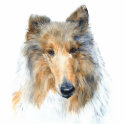 Chipper the Collie Sculpture photo sculptures