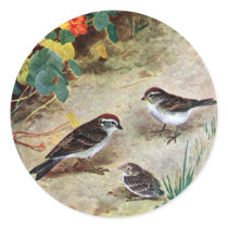 Chipping Sparrow Family and Nasturtiums Sticker