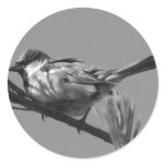 Chipping Sparrow stickers