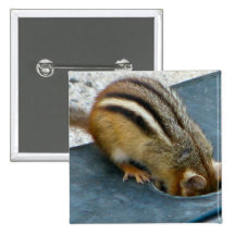 Chippy Pinback Button