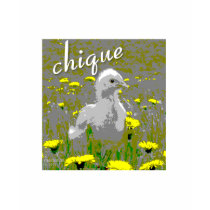 chique- a sweet baby chic in a field of dandelions tees