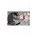 "Chiro-Cat" posters