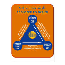 chiropractic types of care triangle posters by turkdc chiropractic types of care triangle posters
