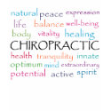 Chiropractic Words T-Shirt