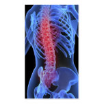 Chiropractor Business Card3