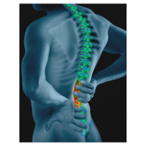 Chiropractor Business Flyer