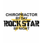 Chiropractor Rock Star by Night
