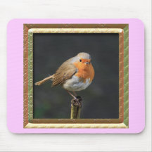 Chirpy Robin Mousepad