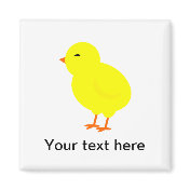 Chirpy the Yellow Baby Chick Magnets